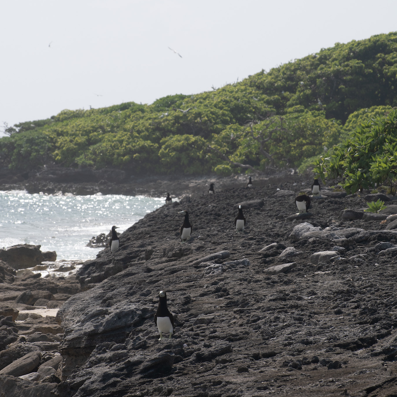 Placeholder for a featured fieldwork image